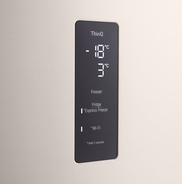 Холодильники LG GR-H922PEBQ Двокамерний Бежевий GR-H922PEBQ фото