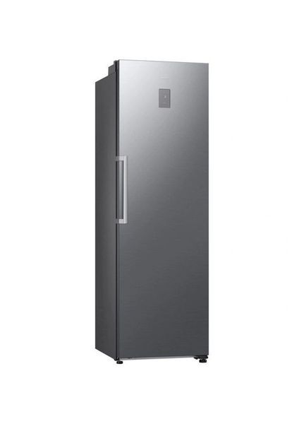 Холодильники SAMSUNG RR70H39CETUA Однокамерний Сріблястий RR70H39CETUA фото