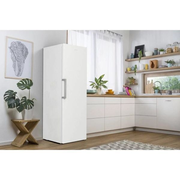 Морозильна камера GORENJE FN 619 FEW5 740885 фото