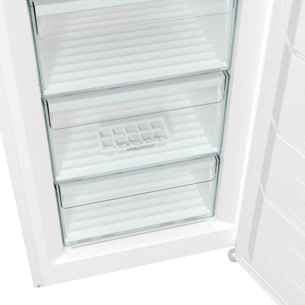 Морозильна камера GORENJE FN 619 FEW5 740885 фото